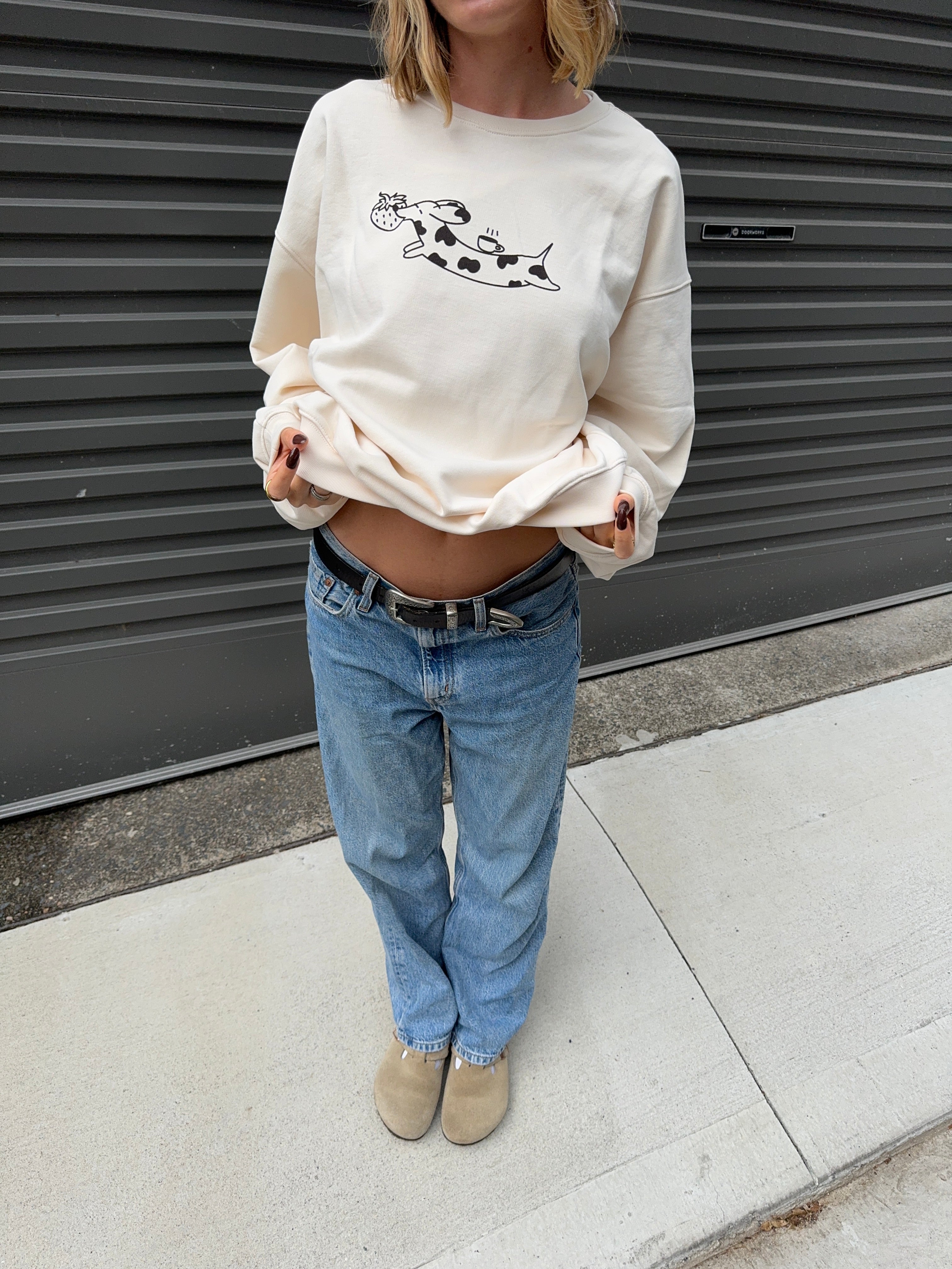 sweater berry dog - Image 8